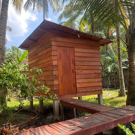 Coco Cabins By Thush Bentota Exteriér fotografie