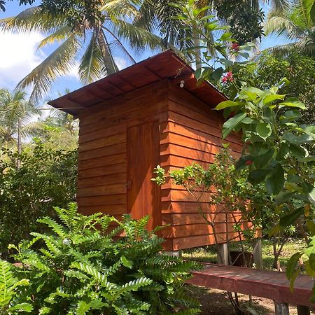 Coco Cabins By Thush Bentota Exteriér fotografie