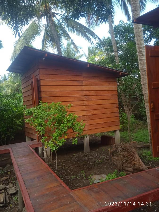 Coco Cabins By Thush Bentota Exteriér fotografie