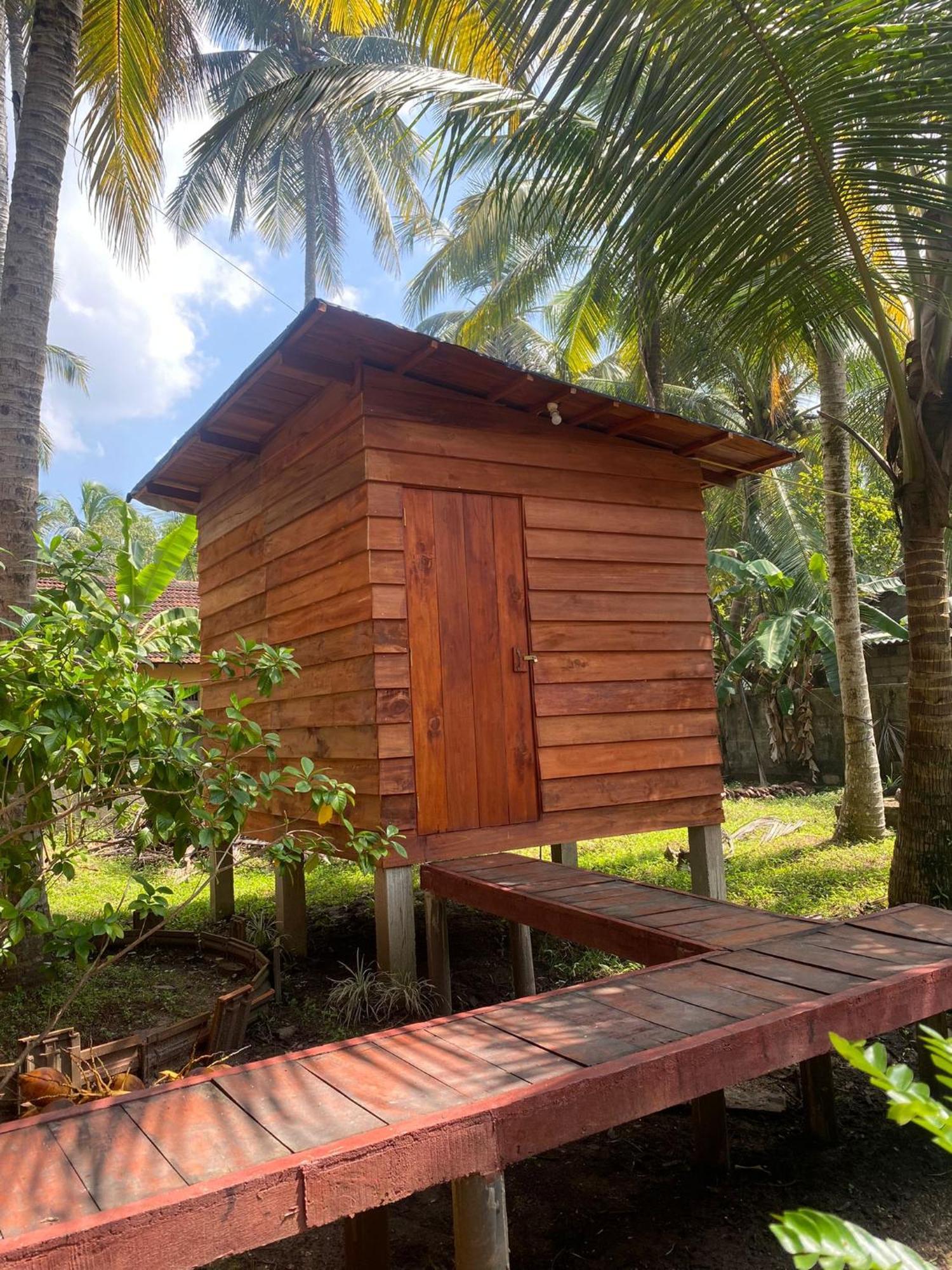 Coco Cabins By Thush Bentota Exteriér fotografie